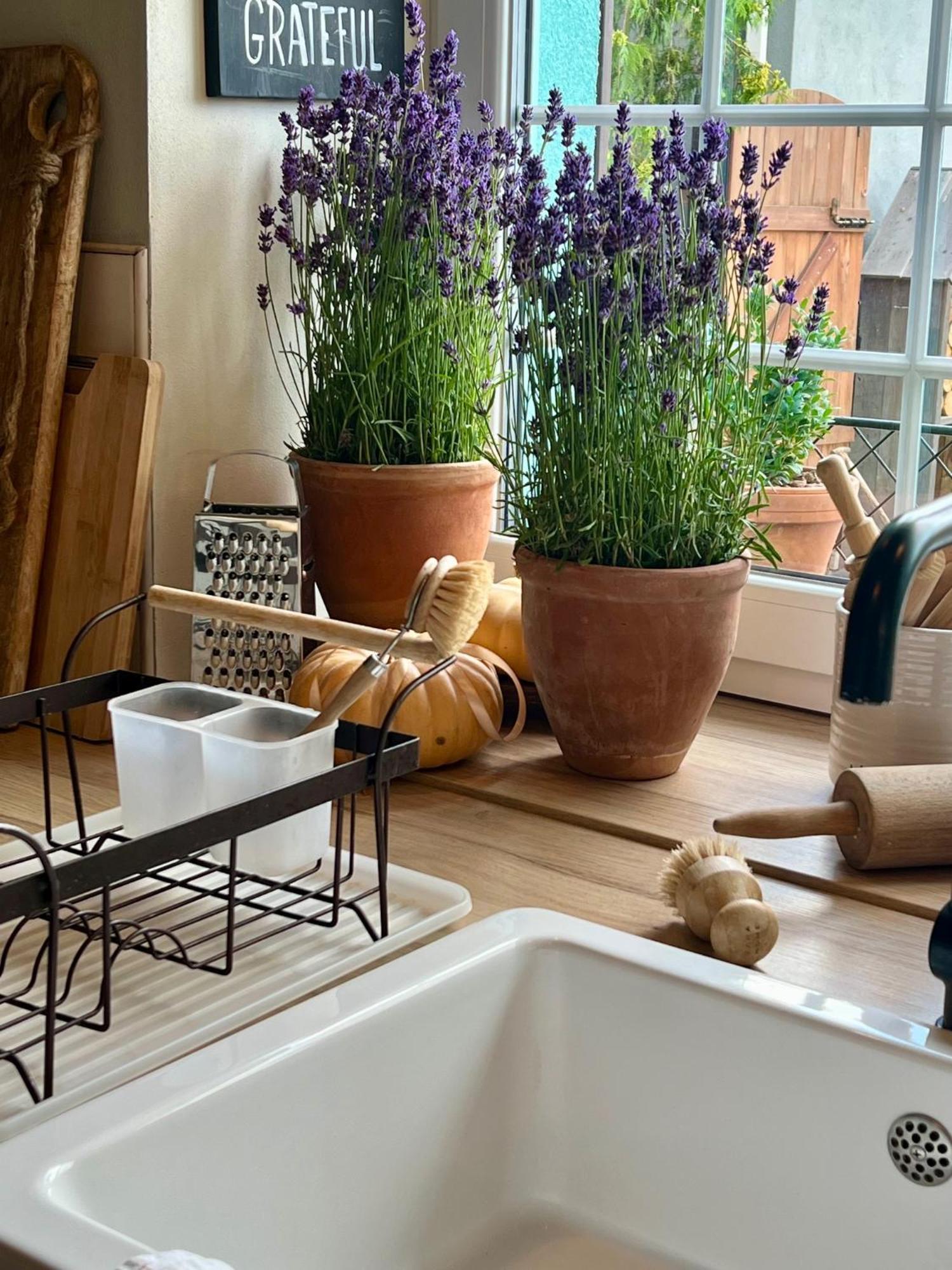 Orchardhouse Farmhouse, Wellness Chrast  ภายนอก รูปภาพ
