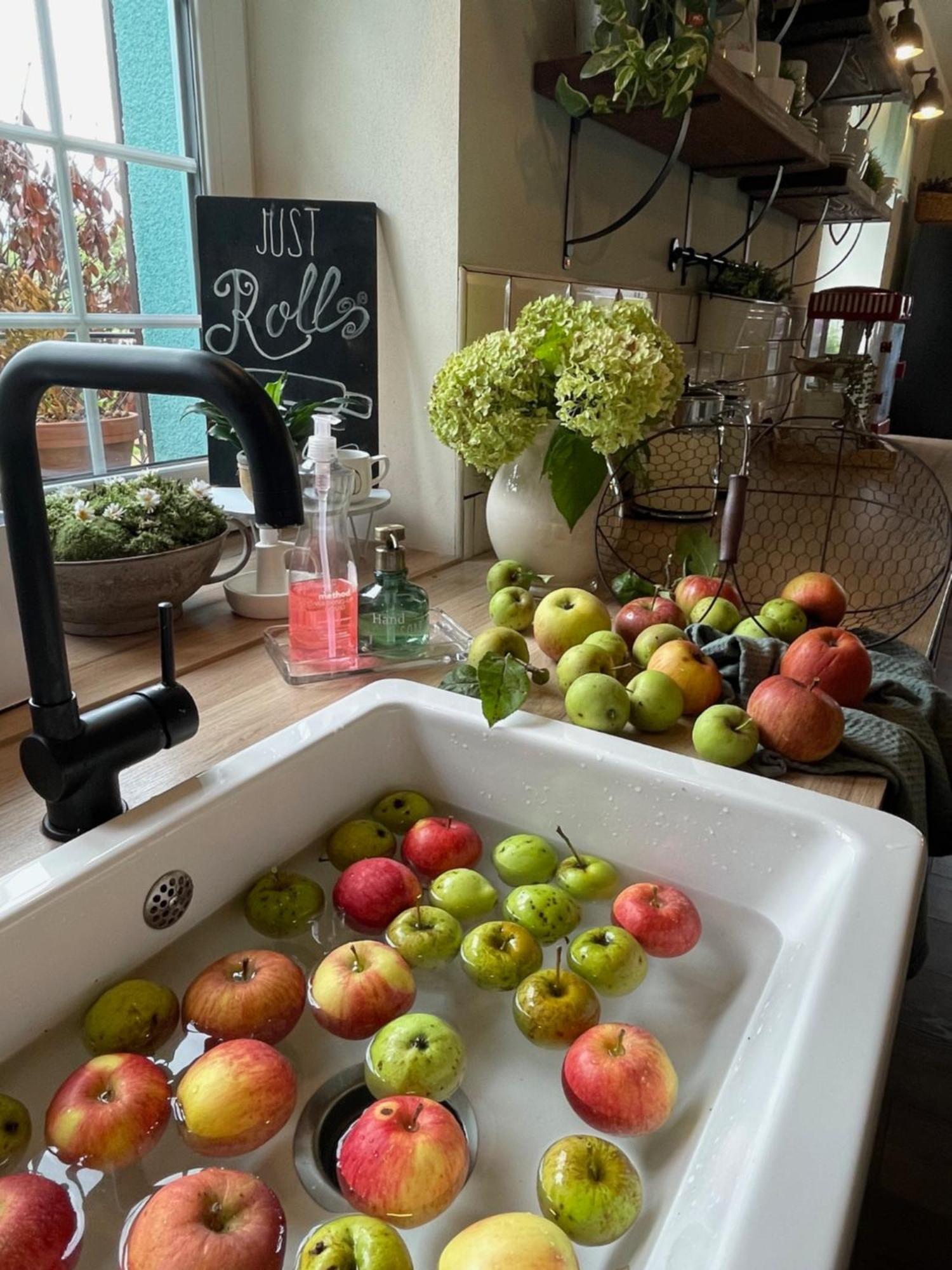 Orchardhouse Farmhouse, Wellness Chrast  ภายนอก รูปภาพ